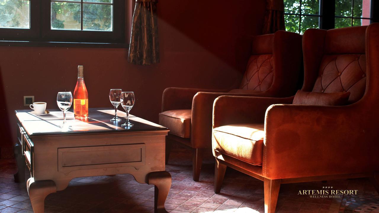 Artemis Resort Wellness Hotel Štúrovo エクステリア 写真