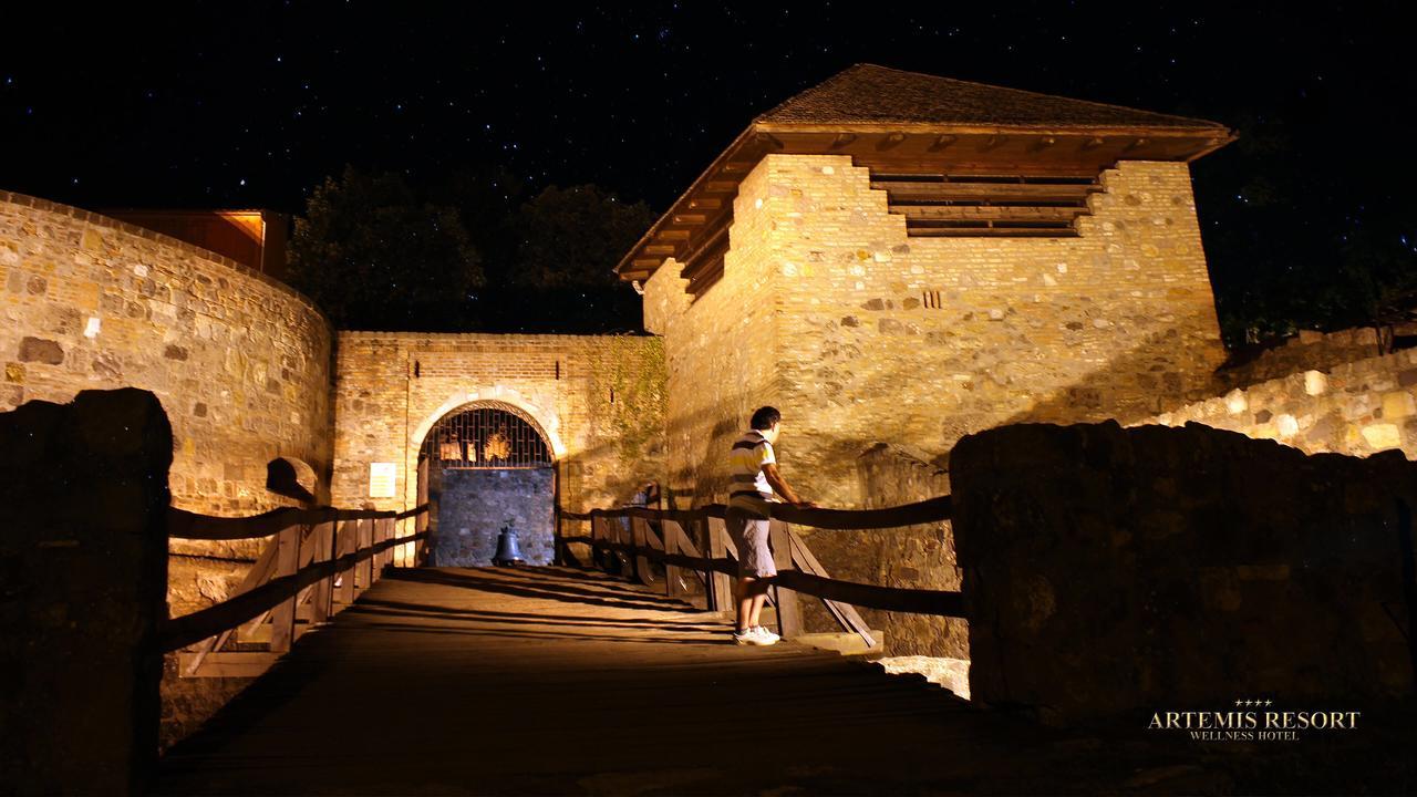 Artemis Resort Wellness Hotel Štúrovo エクステリア 写真